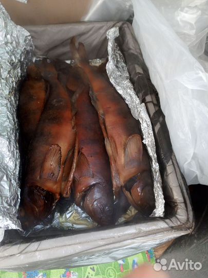 Рыбка горячего копчения