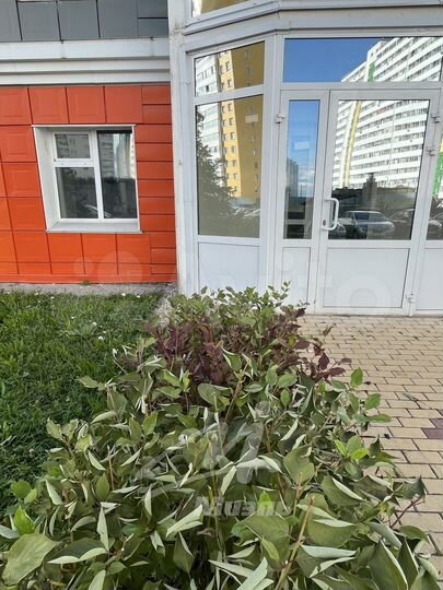 Сдам помещение свободного назначения, 123.7 м²