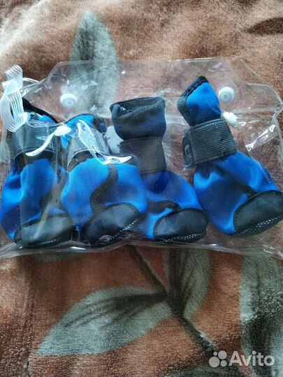 Обувь для маленьких собак