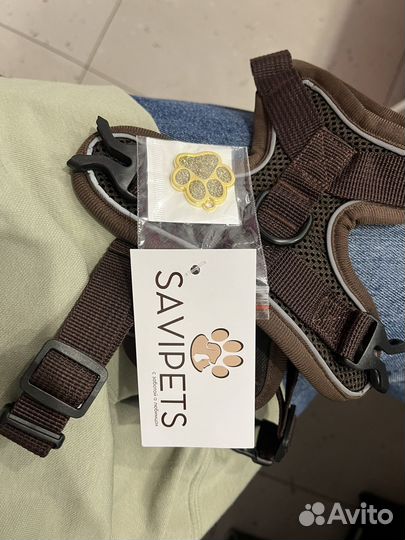 Шлейка для собаки с поводком