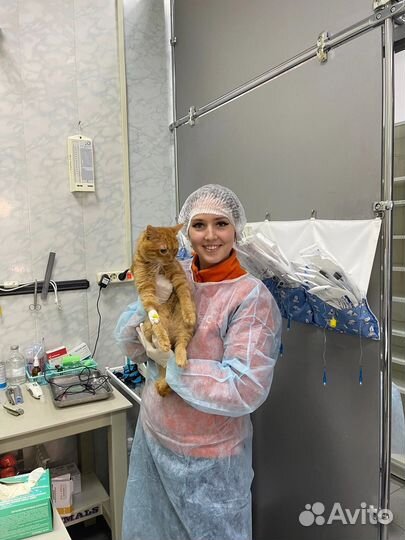 Ветеринарный врач выезд на дом