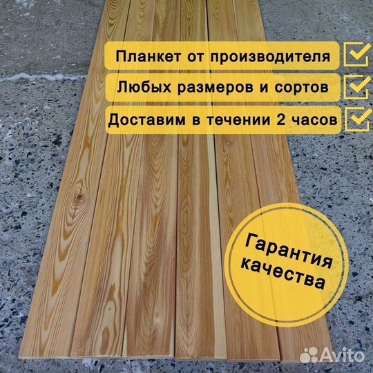 Планкен прямой лиственница