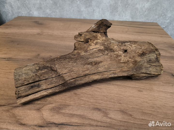 Коряги для террариума и аквариума