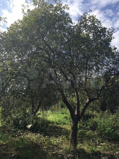 Участок 20 сот. (ИЖС)