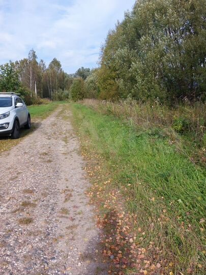 Участок 30 сот. (СНТ, ДНП)