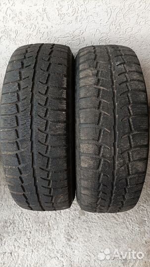 Cordiant Polar SL 195/65 R15