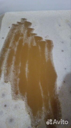 Мёд Алтайский 2023 год. С пасеки