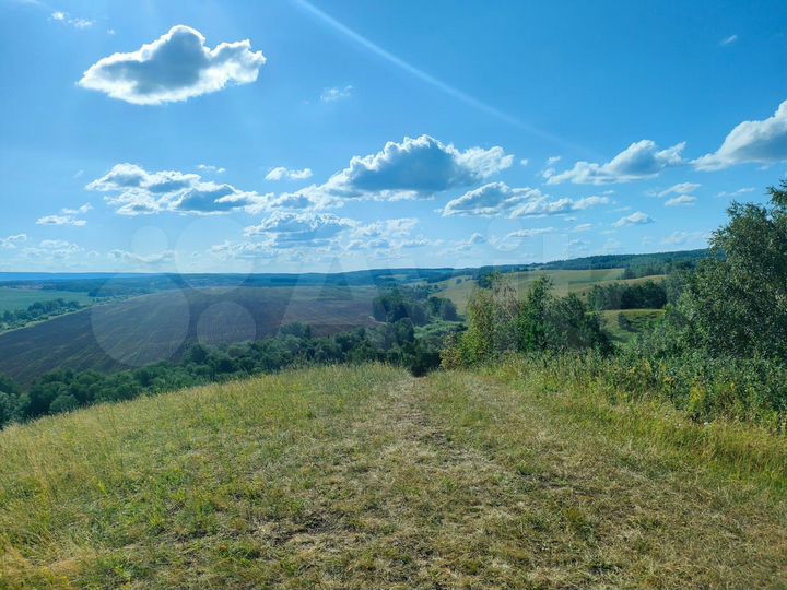 Участок 3 га (СНТ, ДНП)