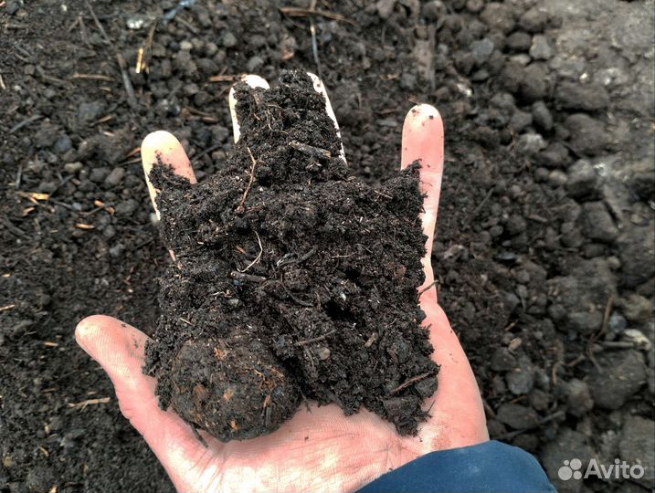 Перегной с большим содержанием озота