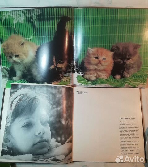 Книга - Фотоальбом СССР, Кошки, Природа, Эрмитаж