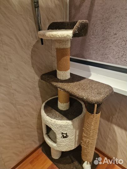 Кошачий Домик