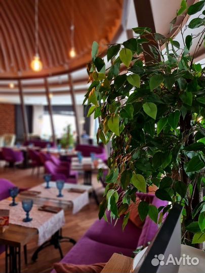 Ресторан. Готовый бизнес. чп 1.600.000 в месяц