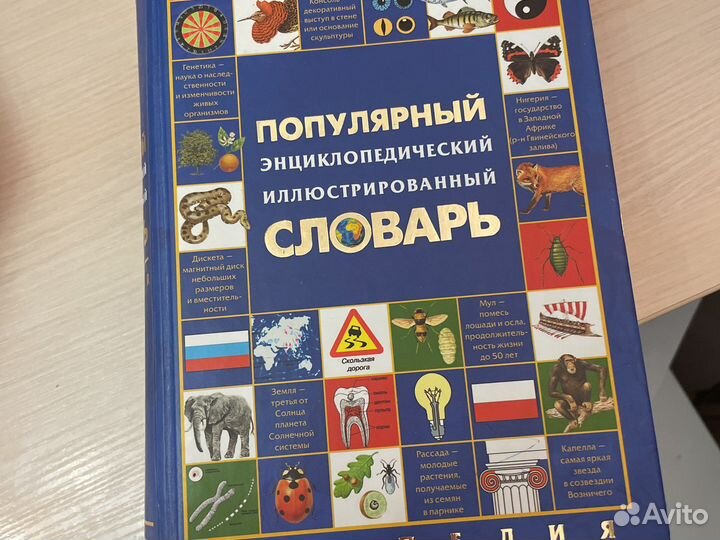 Словарь энциклопедический