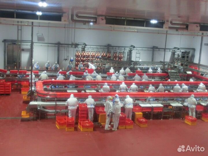 Вахта/г.Шахты/ 2750 р/Семейное проживание