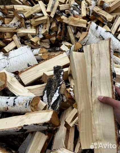 Дрова колотые березовые