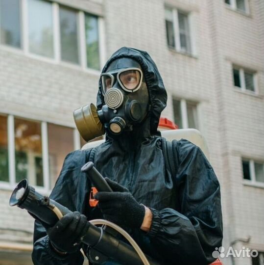 Средство для Уничтожения клопов Дезинсекции тараканов