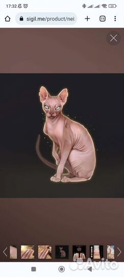 Тени для век Тамми Танука Кот