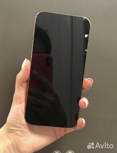 iPhone 12 Pro Max, 256 ГБ