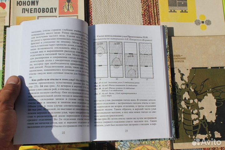 Шапкин Бесконтактное Пчеловодство 2009