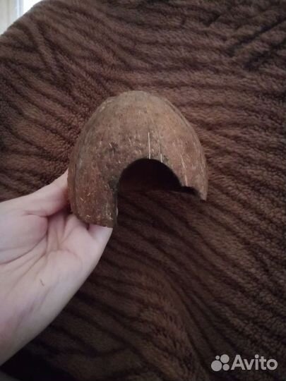 Колесо для хомяка