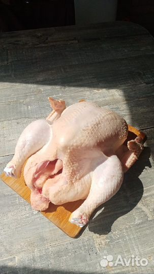 Домашние бройлеры