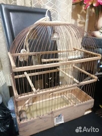 Клетка для животных