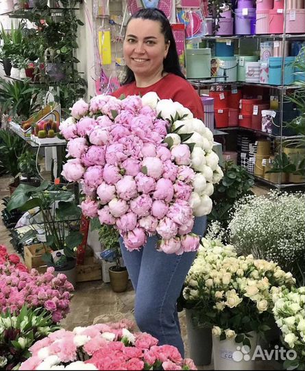 Пионы Букеты Доставка 24/7 Цветы Корзины