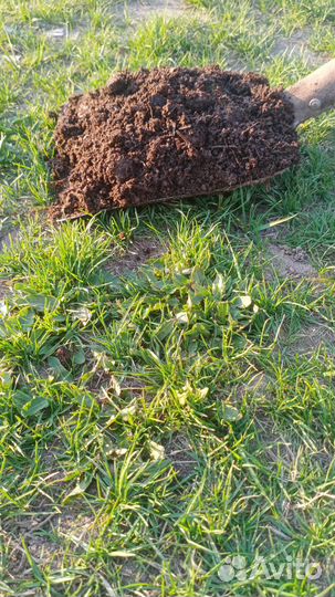 Перегной в мешках