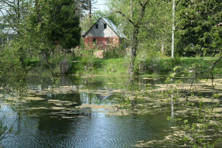 Участок 9,9 сот. (СНТ, ДНП)