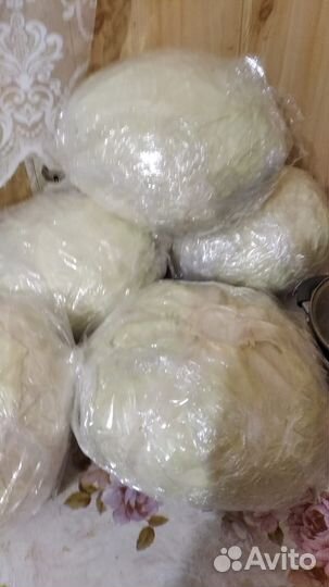 Капуста название Агрессор