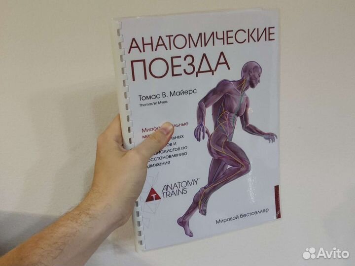 Книга майерса анатомические поезда. Анатомические поезда книга. Анатомические поезда новое издание. Майерс анатомические поезда купить.