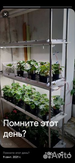 Стеллаж для цветов и рассады с капиллярными матами