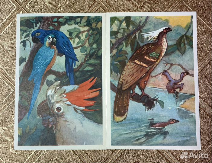 Набор открыток Птицы 1968 год. СССР