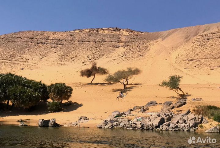 Поездка в Шарм-эш-Шейх 7 нч. всё включено