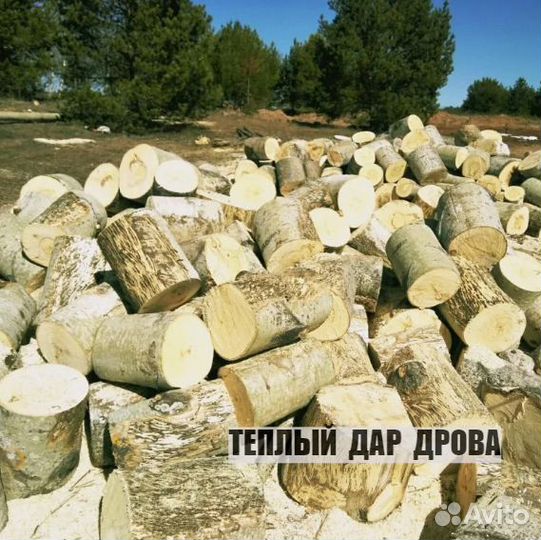 Дрова колотые