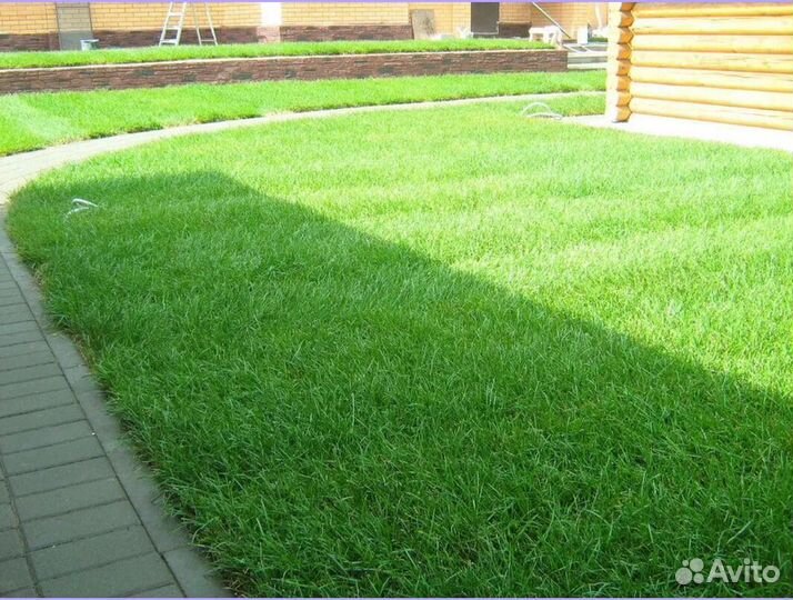 Рулонный газон укладка спортивный
