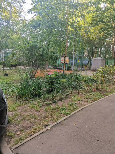 Комната 20,9 м² в 3-к., 11/11 эт.