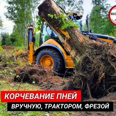 Спил деревьев / расчистка участка