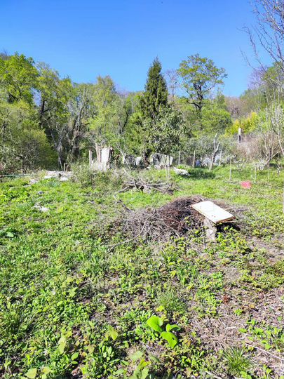 Участок 7,1 сот. (СНТ, ДНП)