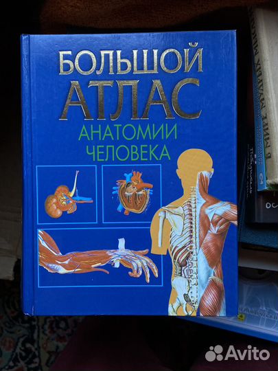 Атлас анатомии воробьева. Атлас анатомии воробьева