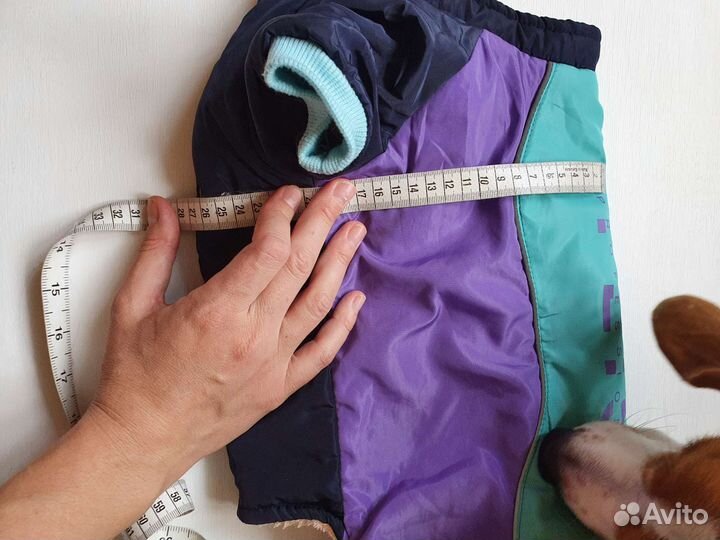 Куртка для собак бигля