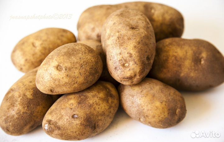 Картошка домашняя едовая
