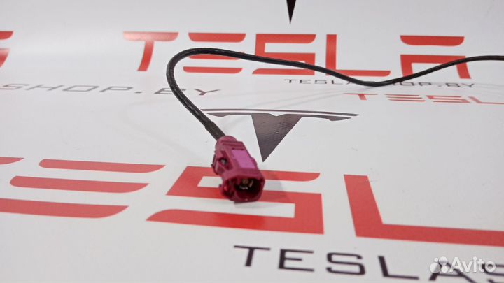 Антенна LTE Tesla Model 3 2019 109836900D