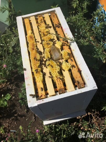 Ульи для пчёл