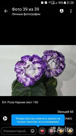 Глоксиния лист