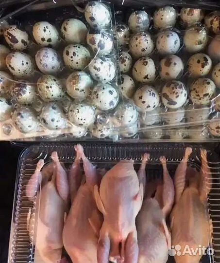 Мясо перепела