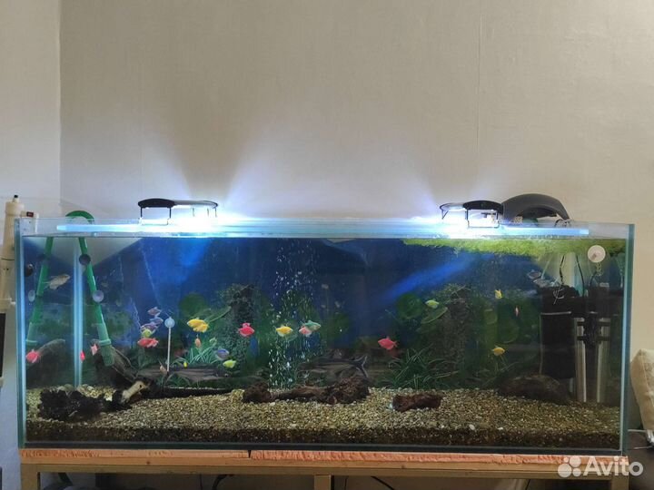 Аквариум