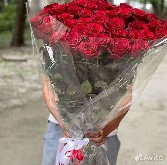 101 роза цветы букеты доставка 25 51 101 роза