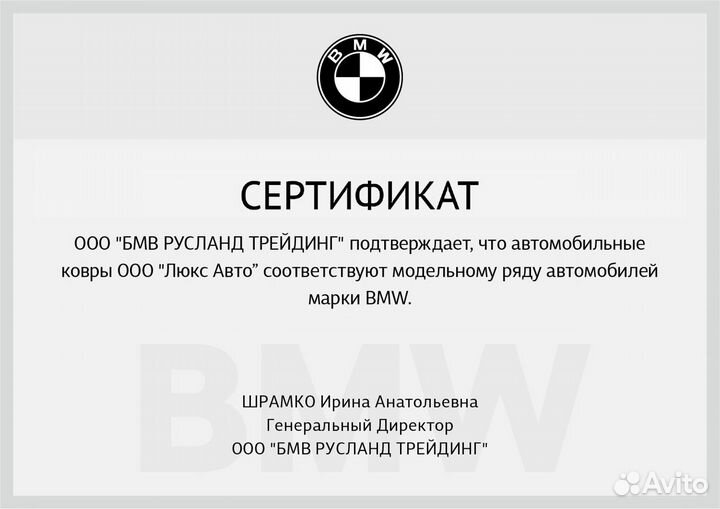 3D Коврики BMW X6 из Экокожи