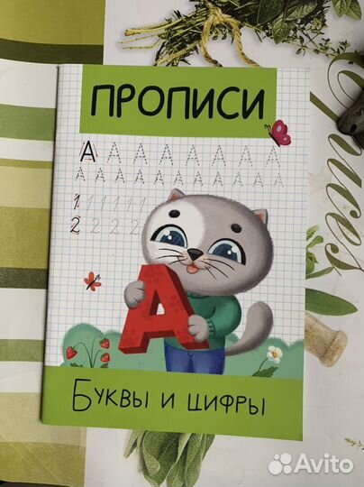 Прописи буквы и цифры